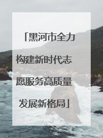 黑河市全力构建新时代志愿服务高质量发展新格局