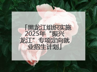 黑龙江组织实施2025年“振兴龙江”专项定向就业招生计划