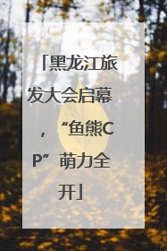 黑龙江旅发大会启幕，“鱼熊CP”萌力全开