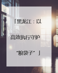 黑龙江：以高效执行守护“粮袋子”