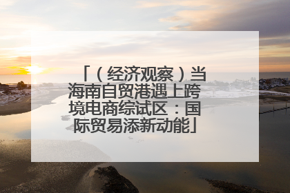 （经济观察）当海南自贸港遇上跨境电商综试区：国际贸易添新动能