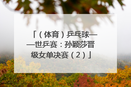 （体育）乒乓球——世乒赛：孙颖莎晋级女单决赛（2）