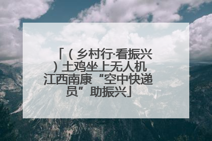（乡村行·看振兴）土鸡坐上无人机 江西南康“空中快递员”助振兴