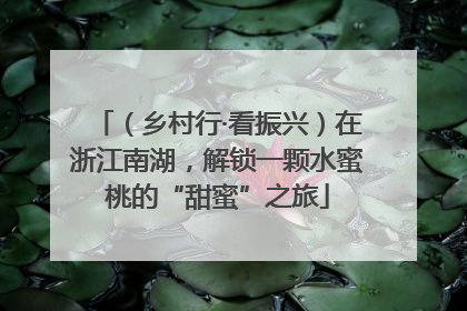 （乡村行·看振兴）在浙江南湖，解锁一颗水蜜桃的“甜蜜”之旅