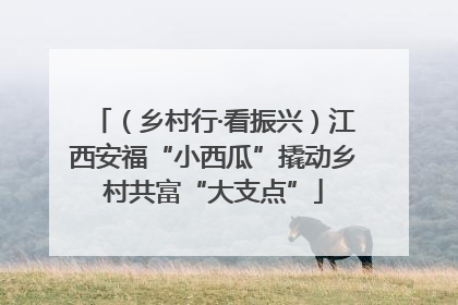 （乡村行·看振兴）江西安福“小西瓜”撬动乡村共富“大支点”