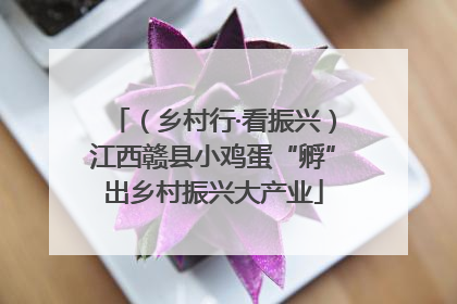 （乡村行·看振兴）江西赣县小鸡蛋“孵”出乡村振兴大产业