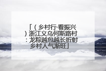 （乡村行·看振兴）浙江义乌何斯路村：龙粽越包越长折射乡村人气渐旺