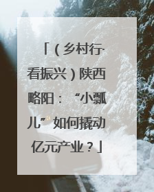 （乡村行·看振兴）陕西略阳：“小瓢儿”如何撬动亿元产业？