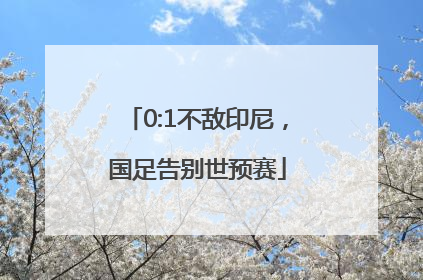 0:1不敌印尼，国足告别世预赛