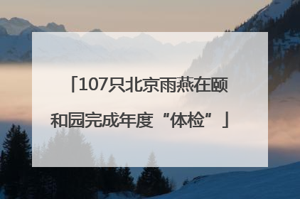 107只北京雨燕在颐和园完成年度“体检”