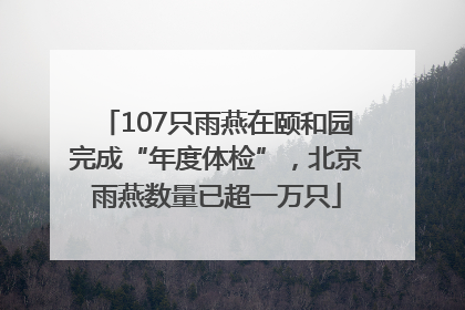 107只雨燕在颐和园完成“年度体检”，北京雨燕数量已超一万只