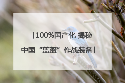 100%国产化 揭秘中国“蓝盔”作战装备