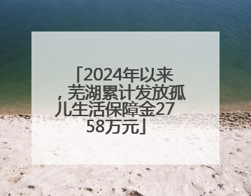 2024年以来，芜湖累计发放孤儿生活保障金2758万元
