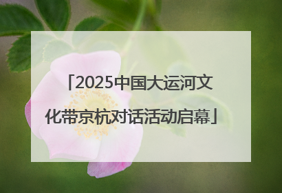 2025中国大运河文化带京杭对话活动启幕