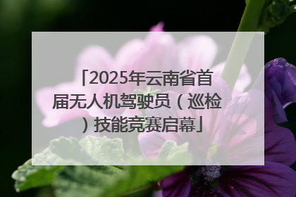 2025年云南省首届无人机驾驶员（巡检）技能竞赛启幕