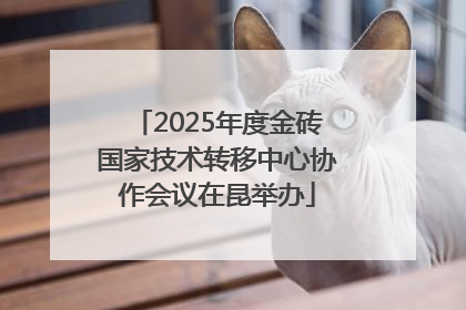 2025年度金砖国家技术转移中心协作会议在昆举办