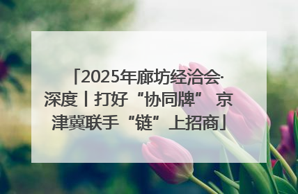 2025年廊坊经洽会·深度丨打好“协同牌” 京津冀联手“链”上招商