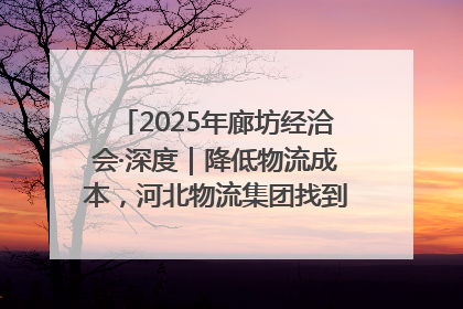 2025年廊坊经洽会·深度｜降低物流成本，河北物流集团找到一把“金钥匙”