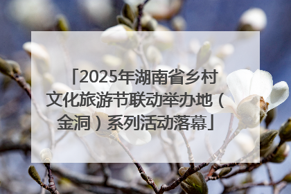 2025年湖南省乡村文化旅游节联动举办地（金洞）系列活动落幕