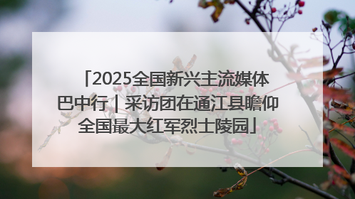 2025全国新兴主流媒体巴中行｜采访团在通江县瞻仰全国最大红军烈士陵园