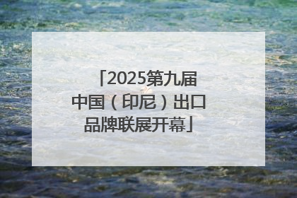 2025第九届中国（印尼）出口品牌联展开幕