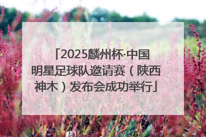 2025麟州杯·中国明星足球队邀请赛（陕西神木）发布会成功举行