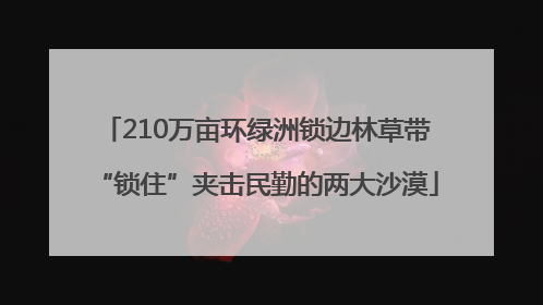 210万亩环绿洲锁边林草带“锁住”夹击民勤的两大沙漠