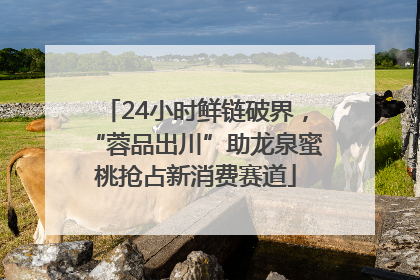 24小时鲜链破界，“蓉品出川”助龙泉蜜桃抢占新消费赛道