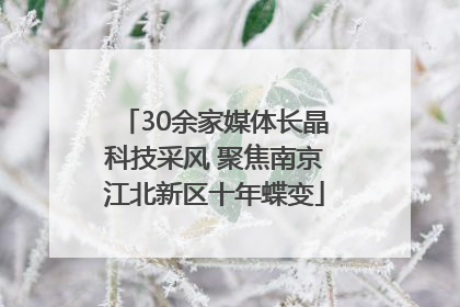30余家媒体长晶科技采风 聚焦南京江北新区十年蝶变