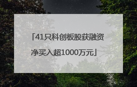 41只科创板股获融资净买入超1000万元