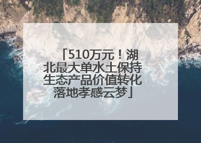 510万元！湖北最大单水土保持生态产品价值转化落地孝感云梦