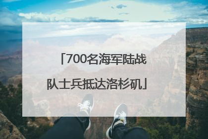 700名海军陆战队士兵抵达洛杉矶