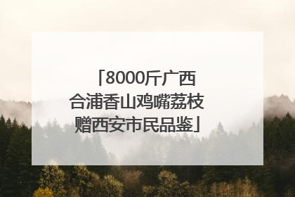 8000斤广西合浦香山鸡嘴荔枝赠西安市民品鉴