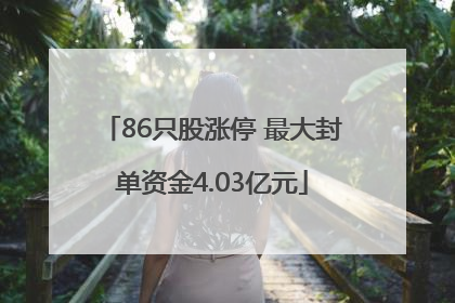 86只股涨停 最大封单资金4.03亿元