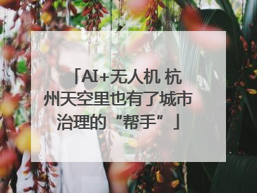 AI+无人机 杭州天空里也有了城市治理的“帮手”